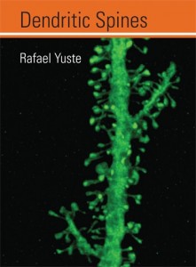 YusteDendriticSpines2010