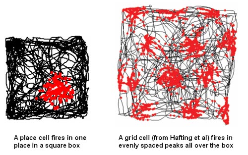 memory-place-grid-cells